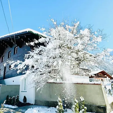 Bellevue & Classy Mountain View