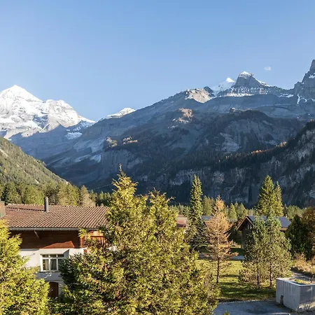 Bellevue & Classy Mountain View