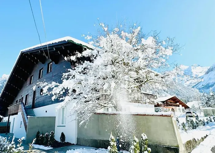 Bellevue & Classy Mountain View