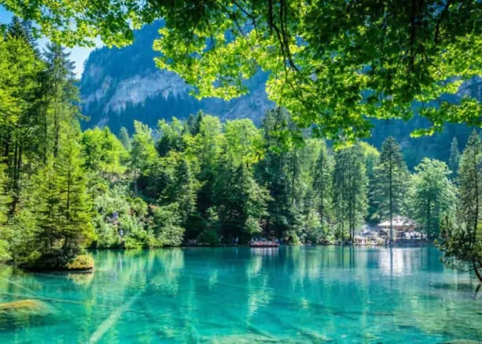 Bellevue & Classy Mountain View Apartament