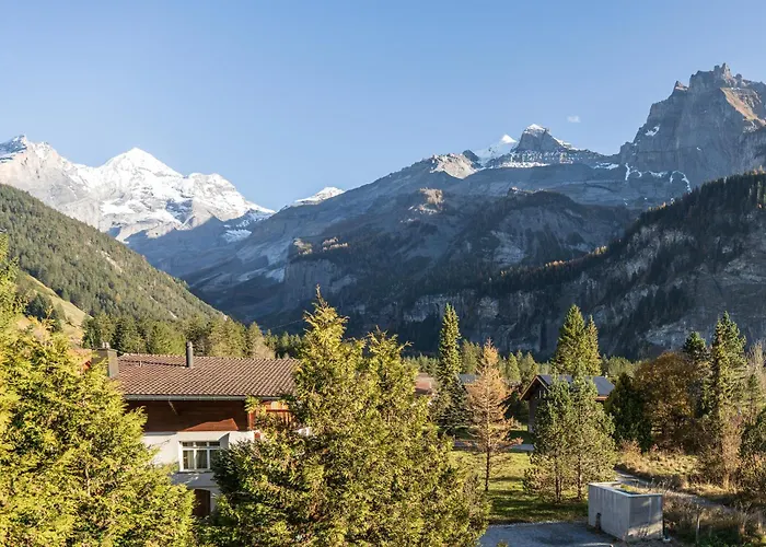 Bellevue & Classy Mountain View