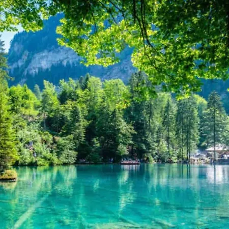 Bellevue & Classy Mountain View Apartamento